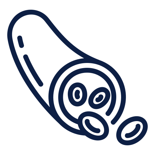 blood vessel with blood cells